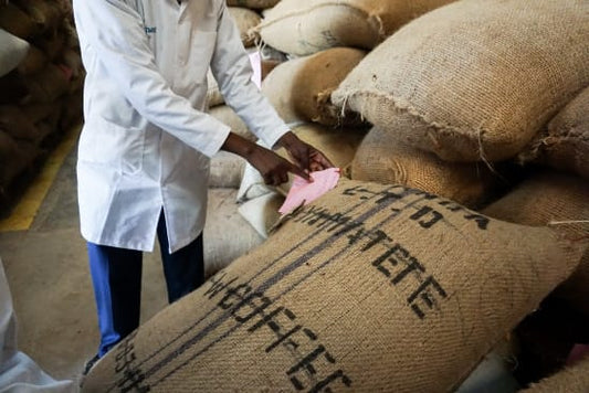 Kamwangi AA, Kenya (250gm) - Apothecary Roasting