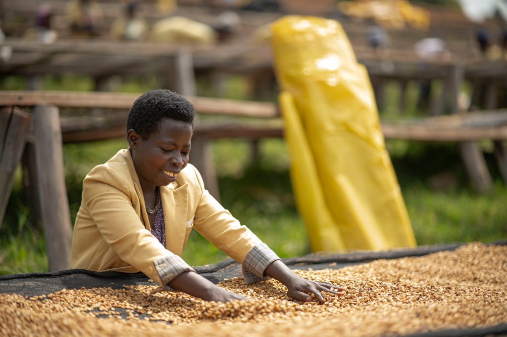 Ruli, Rwanda (250gm) - Apothecary Roasting