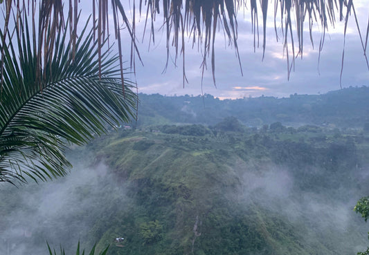 Camila Chilito, Colombia (200gm)