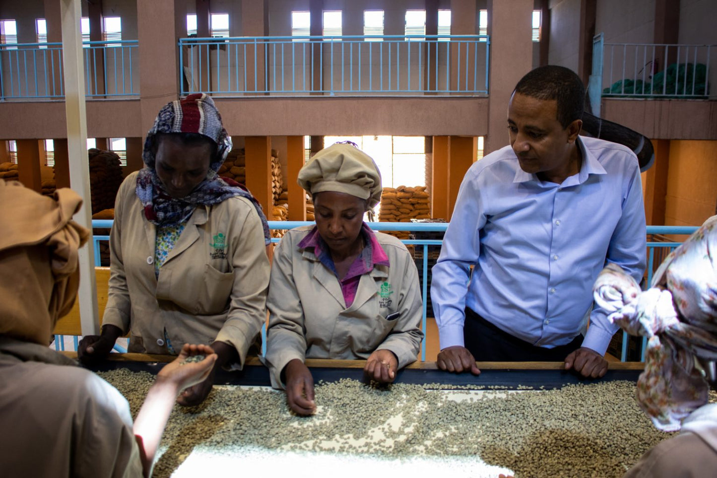 Jigesa, Ethiopia (250gm)